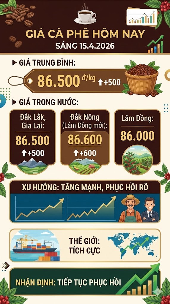 Giá cà phê hôm nay 15.4: Tây Nguyên tăng đồng loạt - ảnh 3