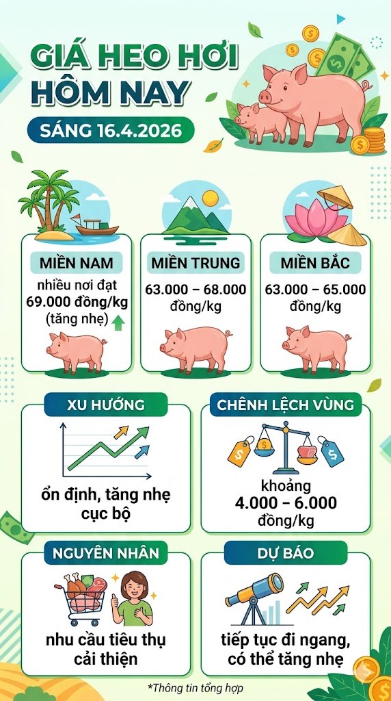 Giá heo hơi hôm nay 16.4: Xuất hiện tín hiệu tăng cục bộ - ảnh 3