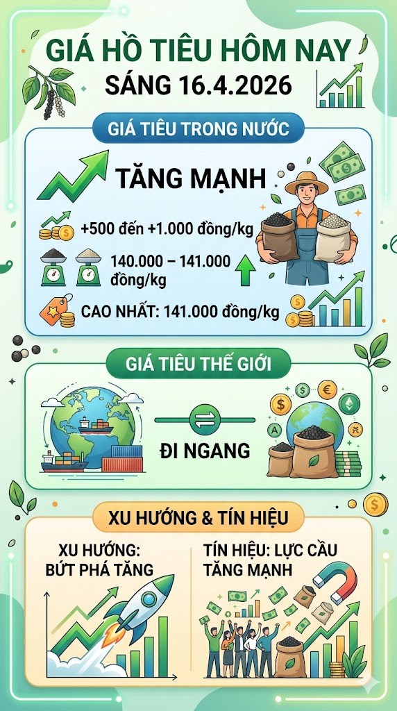 Giá hồ tiêu hôm nay 16.4: Đồng loạt tăng sốc, lập đỉnh mới - ảnh 3