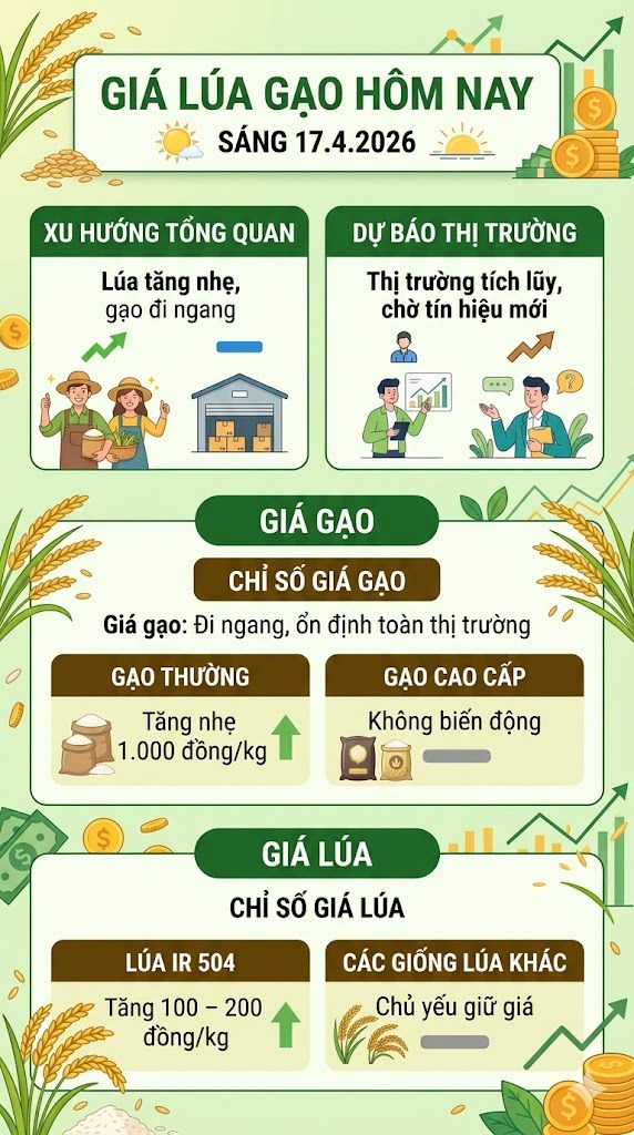 Giá lúa gạo hôm nay 17.4: Lúa tăng nhẹ, gạo tiếp tục ổn định - ảnh 3