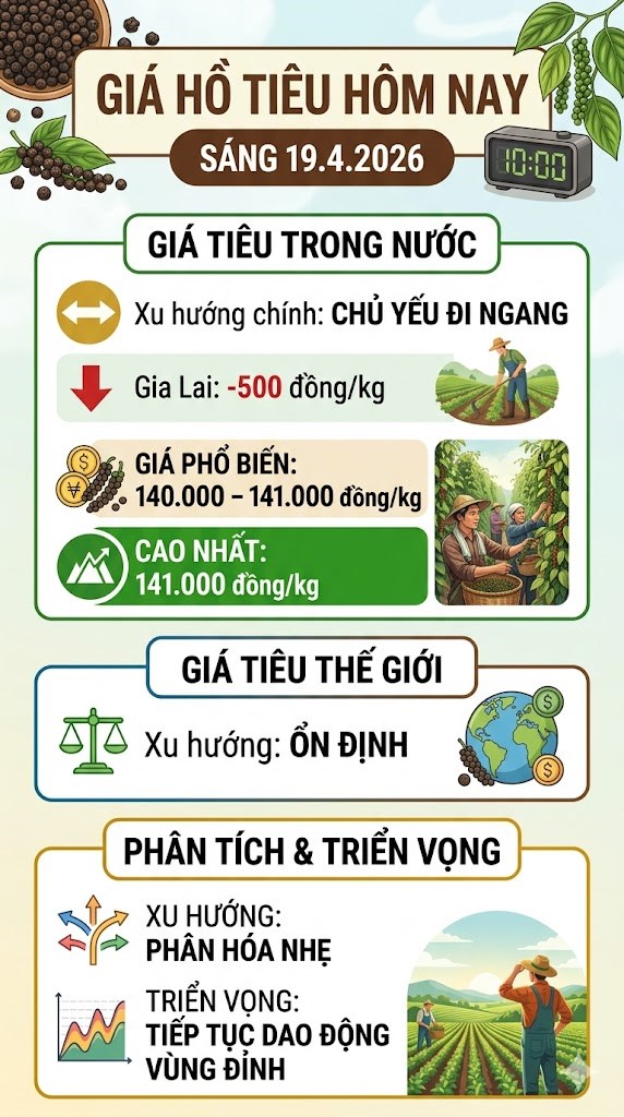 Giá hồ tiêu hôm nay 19.4: Gia Lai giảm nhẹ, thị trường giữ đỉnh - ảnh 3