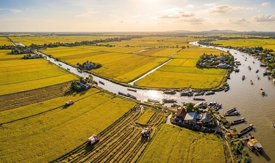 Giá lúa gạo hôm nay 19.4: Xu hướng nào đang hình thành? - ảnh 1