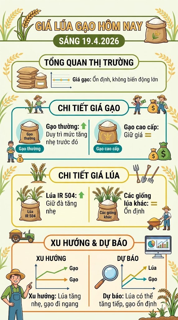Giá lúa gạo hôm nay 19.4: Xu hướng nào đang hình thành? - ảnh 3