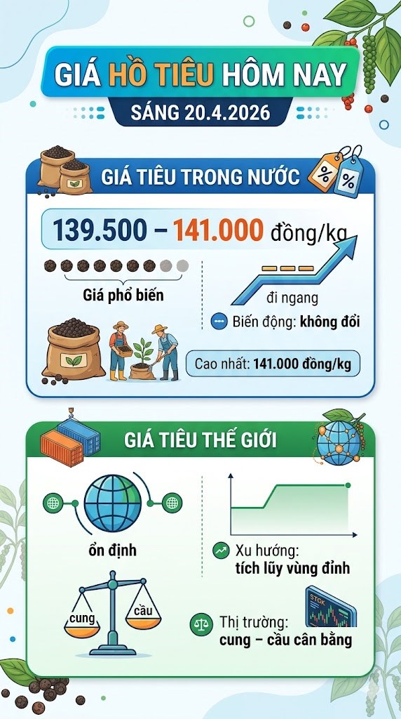 Giá hồ tiêu hôm nay 20.4: Chưa có biến động mới, chờ tín hiệu bứt phá - ảnh 3