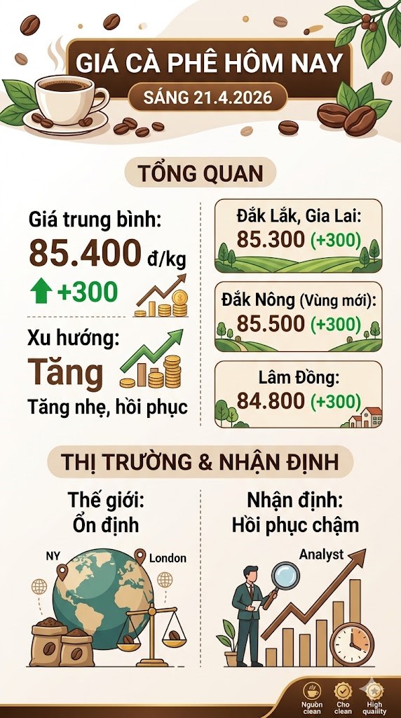Giá cà phê hôm nay 21.4: Tăng nhẹ 300 đồng/kg, tín hiệu tích cực - ảnh 3