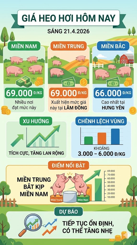Giá heo hơi hôm nay 21.4: Xu hướng tăng lan tỏa - ảnh 3
