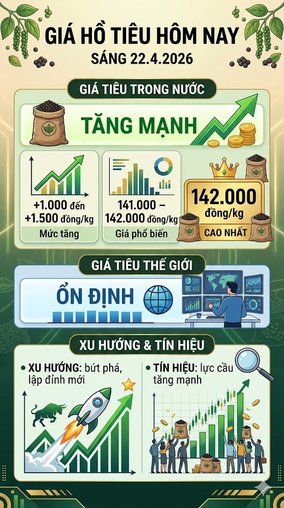 Giá hồ tiêu hôm nay 22.4: Đồng loạt tăng, thiết lập mặt bằng mới - ảnh 3