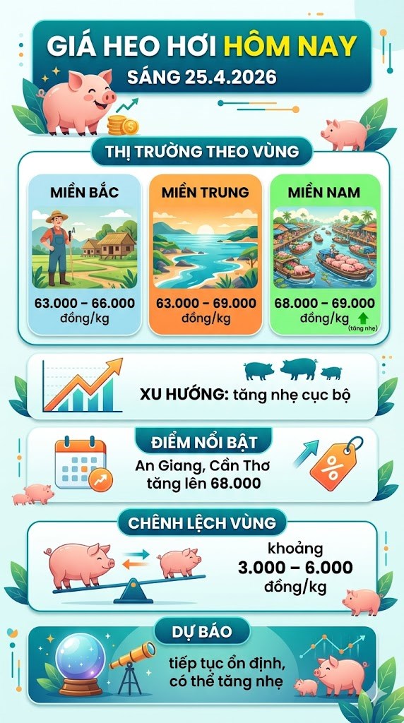 Giá heo hơi hôm nay 25.4: Xuất hiện tín hiệu tăng trở lại - ảnh 3