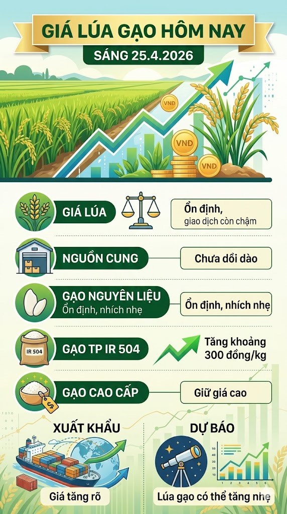 Giá lúa gạo ngày 25.4: Giao dịch cải thiện, giá có thể nhích lên - ảnh 3
