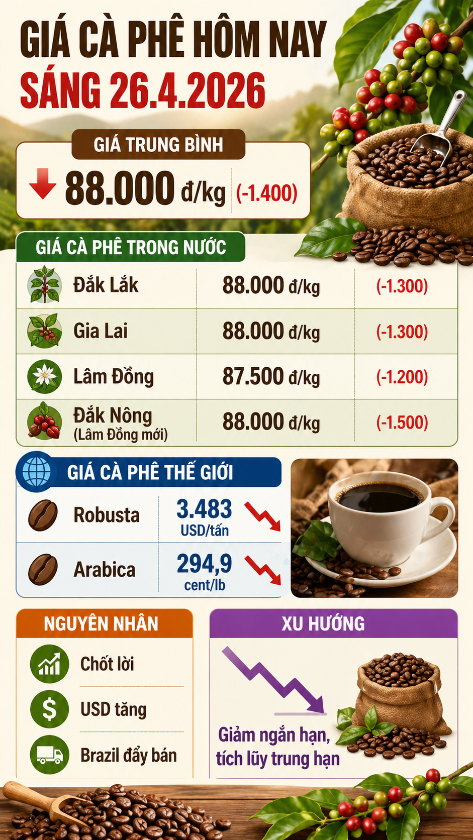 Giá cà phê hôm nay 26.4: Giảm sâu 1.500 đồng/kg - ảnh 3