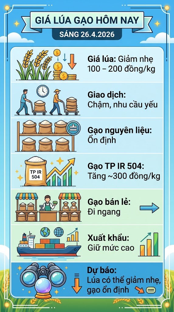 Giá lúa gạo ngày 26.4: Lúa giảm nhẹ, gạo giữ giá – thị trường chững lại - ảnh 3