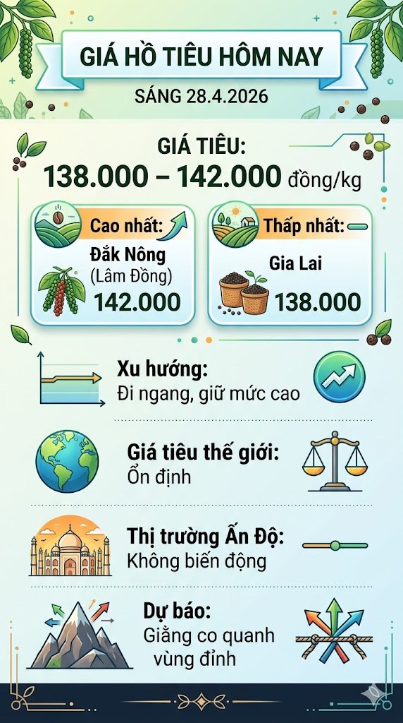 Giá hồ tiêu hôm nay 28.4: Đi ngang, thị trường “nín thở” chờ sóng mới - ảnh 3