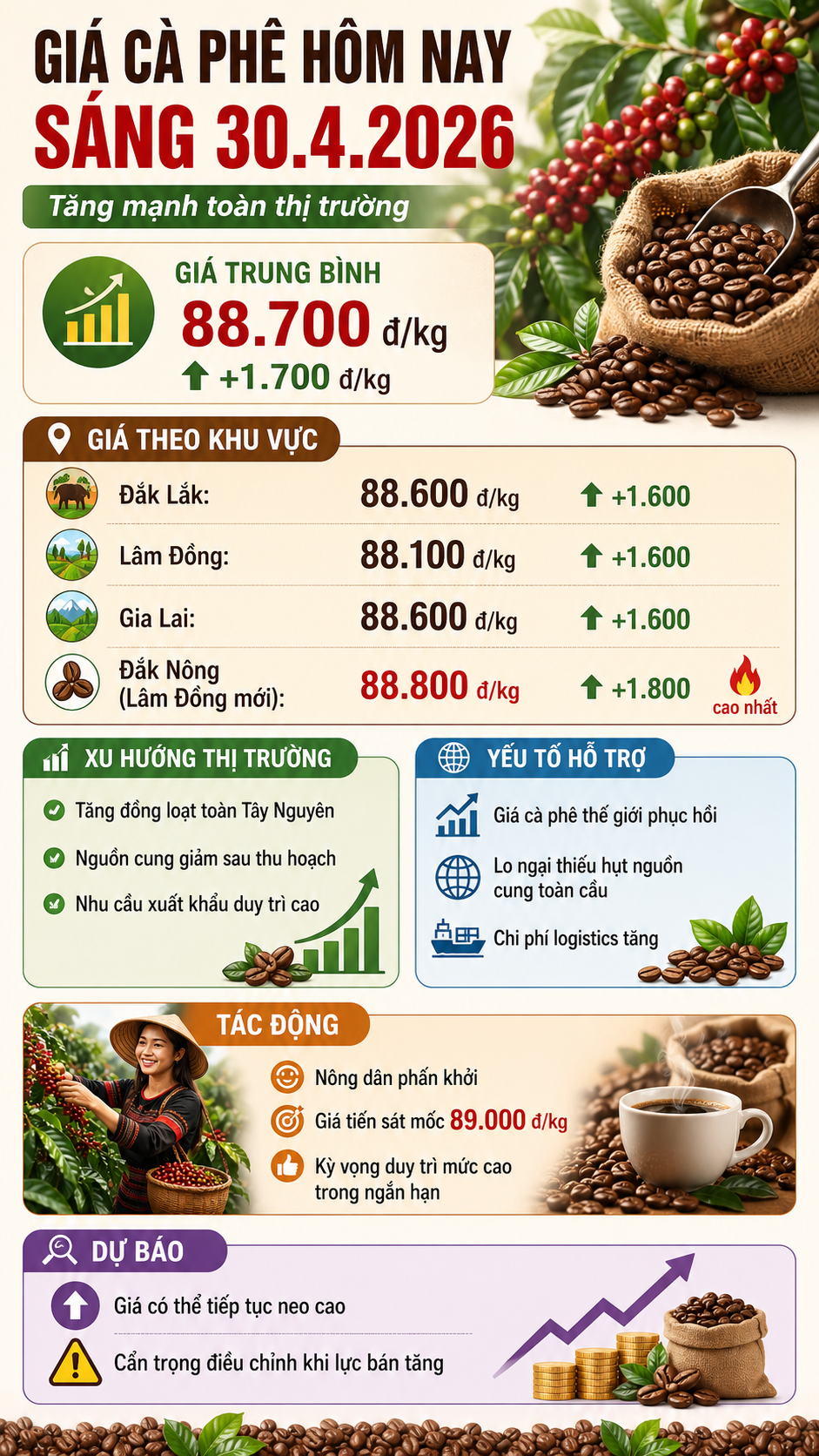Giá cà phê hôm nay 30.4: Tăng mạnh, nông dân phấn khởi - ảnh 3