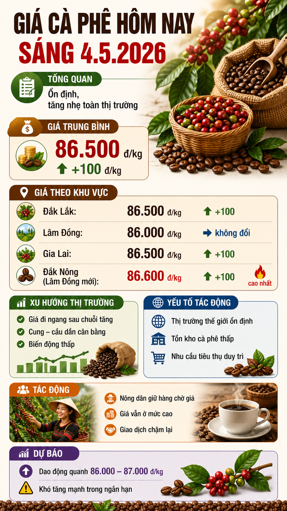 Giá cà phê hôm nay 4.5: Ít biến động, cung cầu cân bằng - ảnh 3