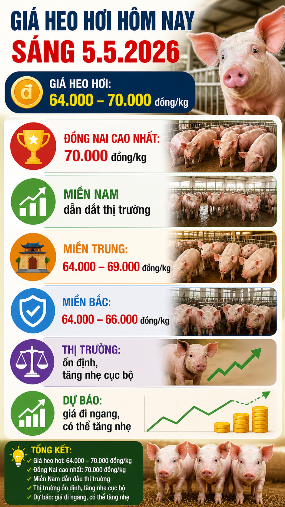Giá heo hơi hôm nay 5.5: Dao động 64.000 – 70.000 đồng/kg - ảnh 3