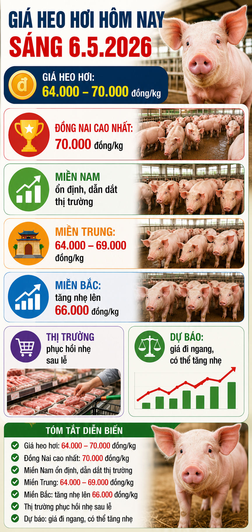 Giá heo hơi hôm nay 6.5: Tín hiệu phục hồi rõ hơn sau lễ - ảnh 3