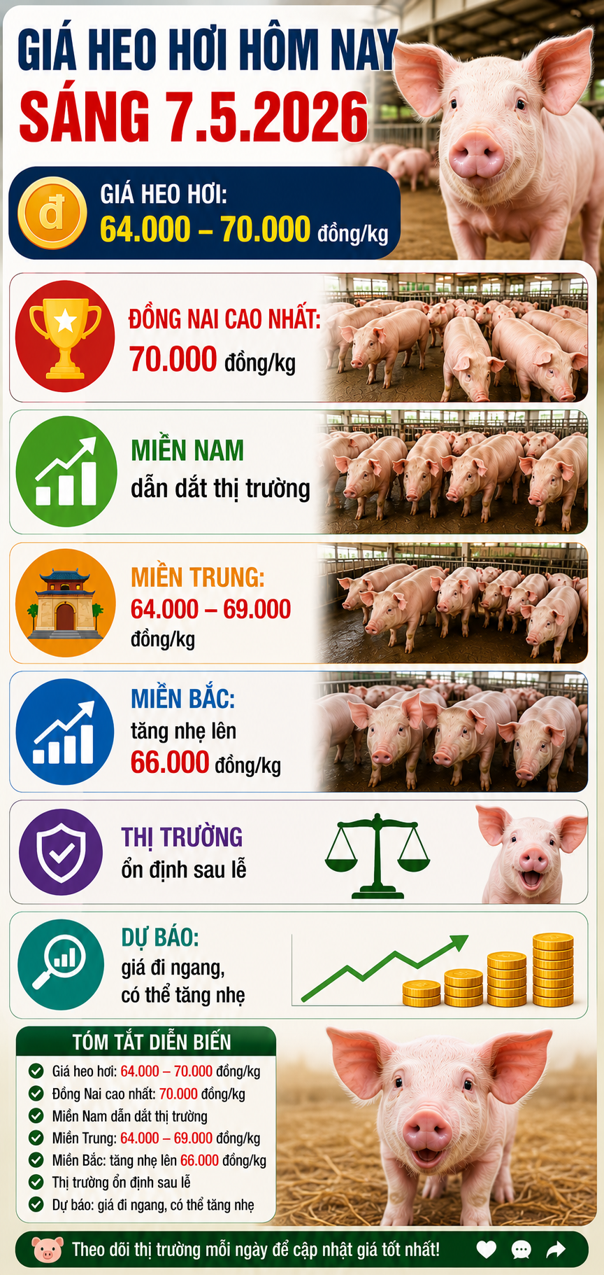 Giá heo hơi hôm nay 7.5: Xu hướng tăng nhẹ tiếp diễn - ảnh 3