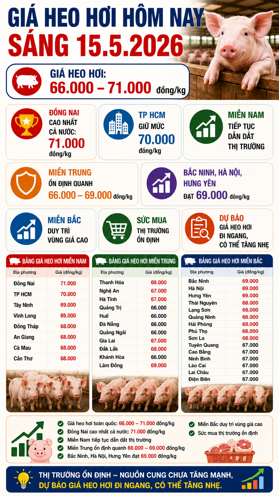 Giá heo hơi hôm nay 15.5: Nguồn cung chưa tăng, giá khó hạ nhiệt - ảnh 3
