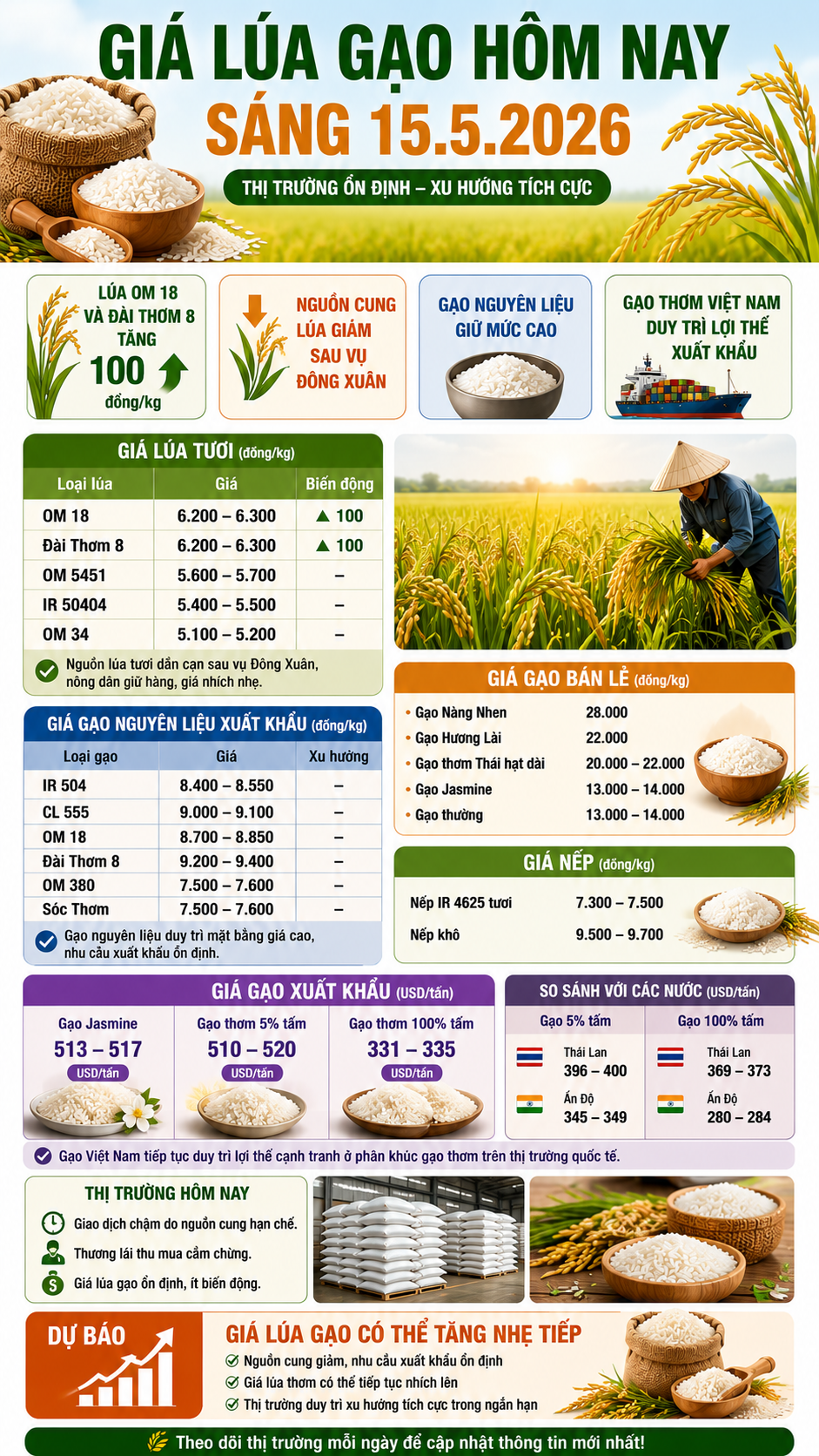 Giá lúa gạo hôm nay 15.5: Lúa thơm tăng giá trở lại - ảnh 3