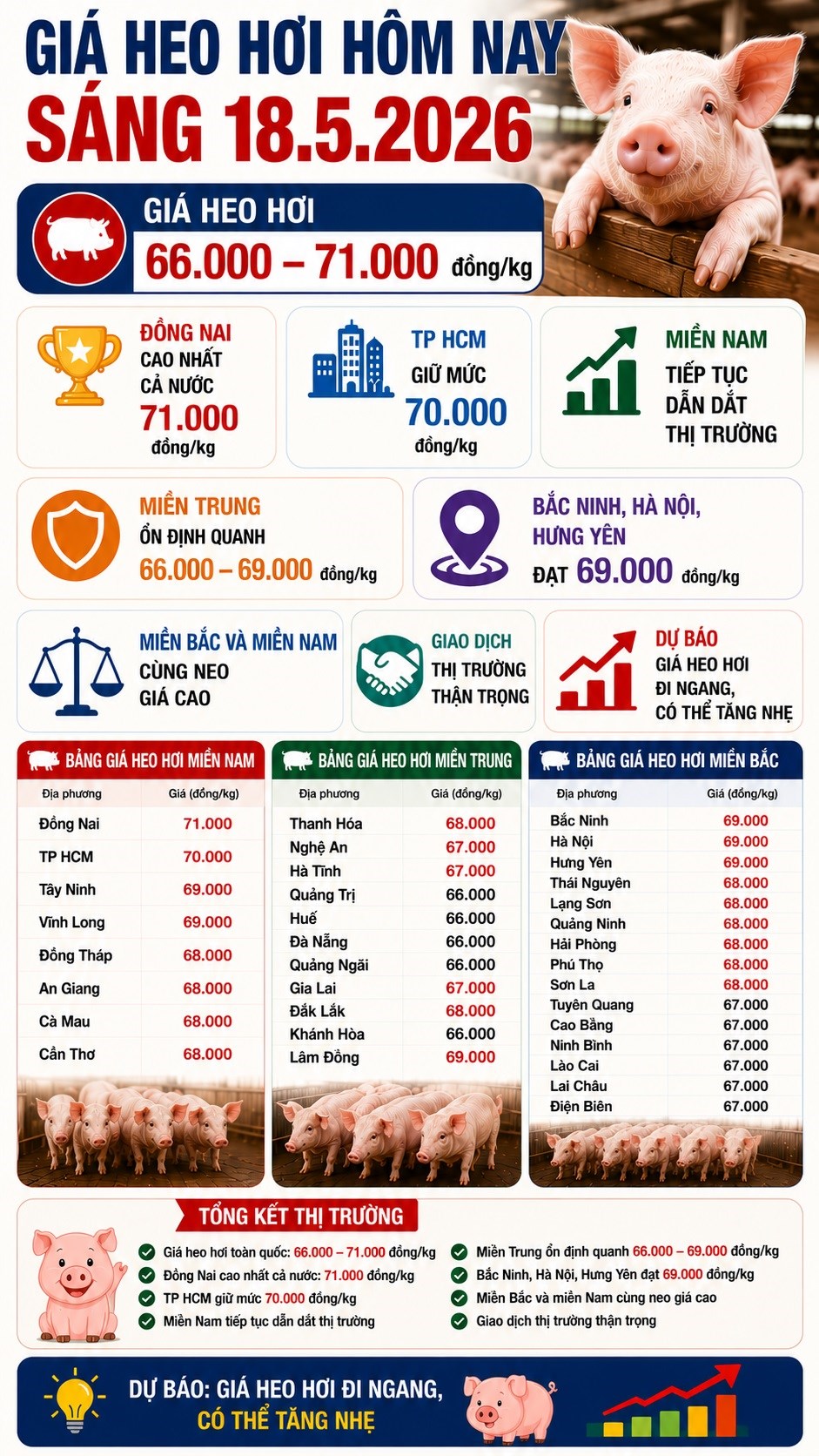 Giá heo hơi hôm nay 18.5: Thị trường đi ngang, chờ tín hiệu tuần mới - ảnh 3