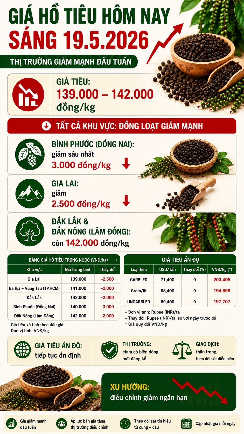 Giá hồ tiêu hôm nay 19.5: Giảm mạnh tới 3.000 đồng/kg - ảnh 3