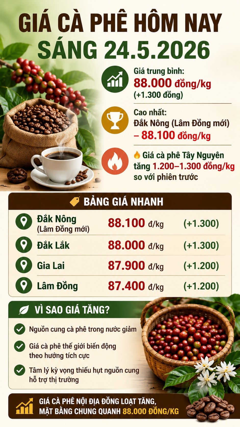 Giá cà phê hôm nay 24.5: Bật tăng mạnh, áp sát 88.100 đồng/kg - ảnh 3