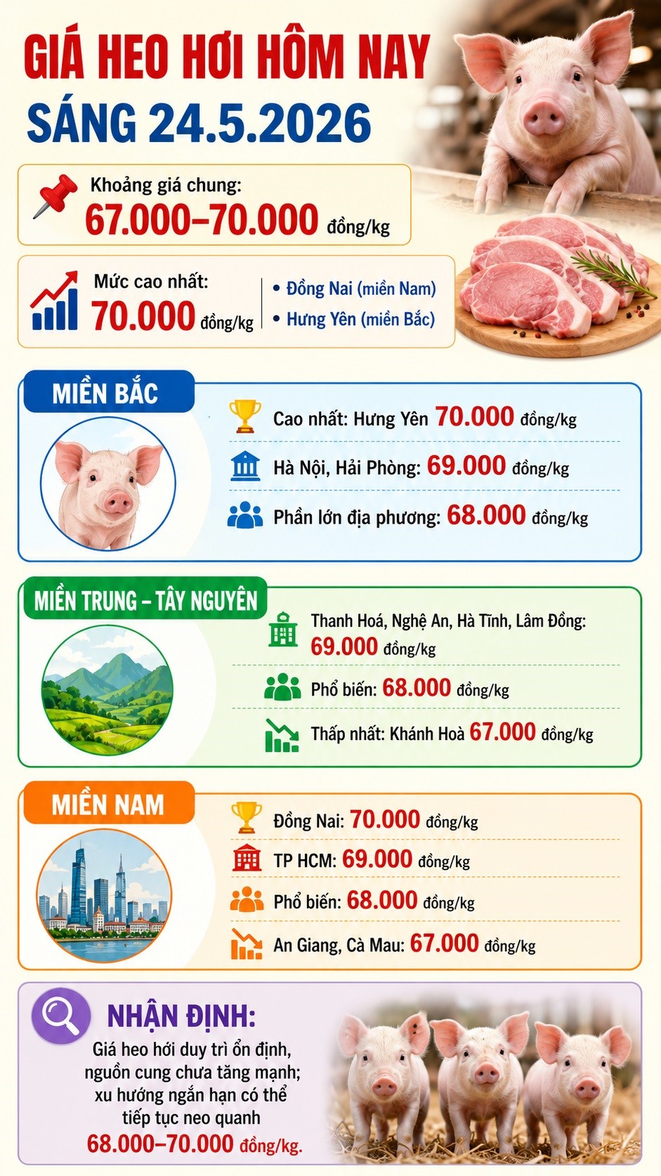 Giá heo hơi hôm nay 24.5: Miền Bắc xuất hiện mốc 70.000 đồng/kg - ảnh 3