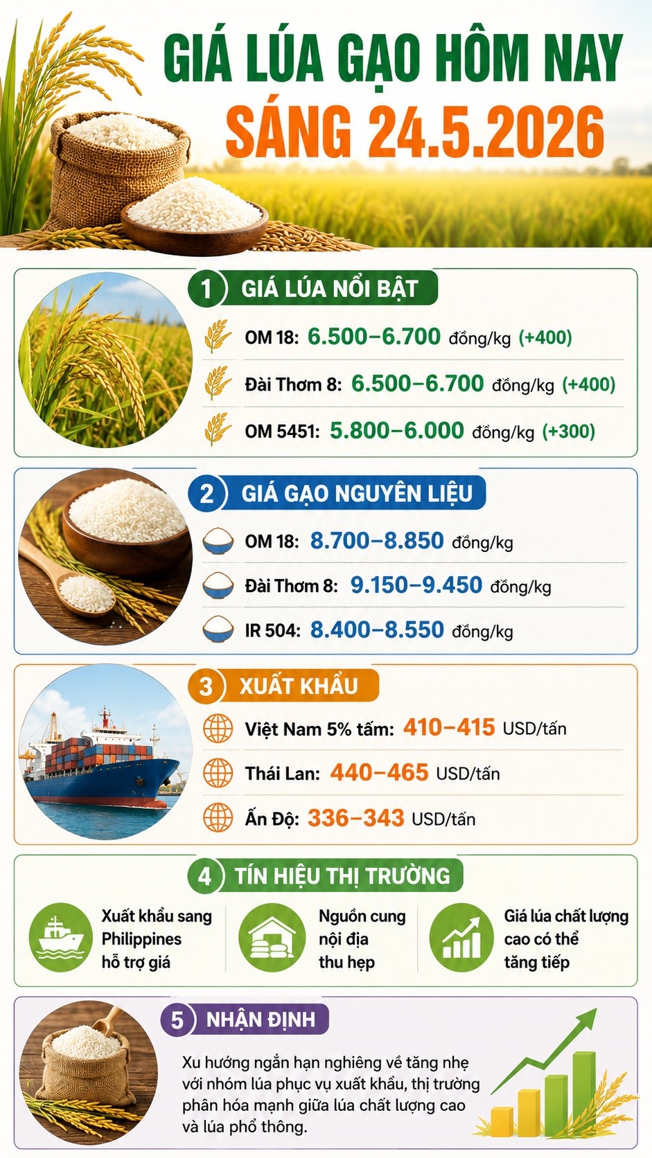 Giá lúa hôm nay 24.5: Nông dân hưởng lợi, doanh nghiệp lo áp lực nguồn cung - ảnh 3