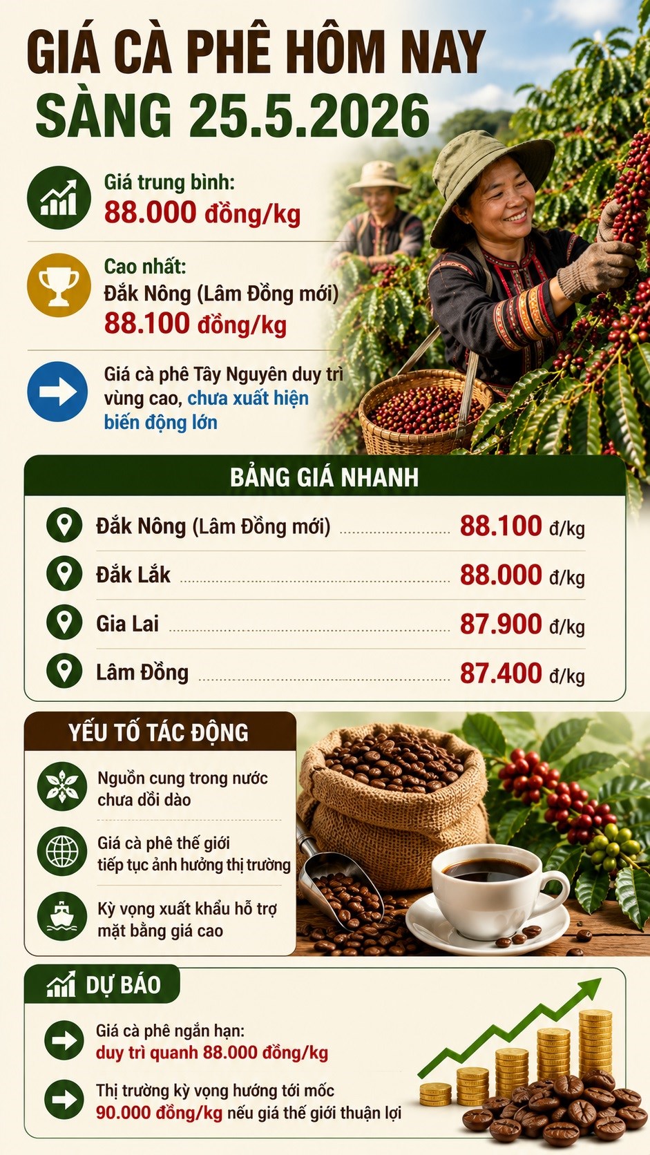 Giá cà phê hôm nay 25.5: Nông dân kì vọng vượt 90.000 đồng/kg - ảnh 3