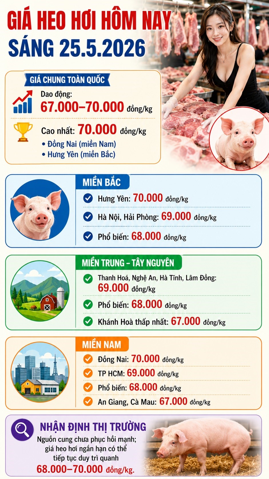 Giá heo hơi hôm nay 25.5: Hai địa phương giữ đỉnh 70.000 đồng/kg - ảnh 3
