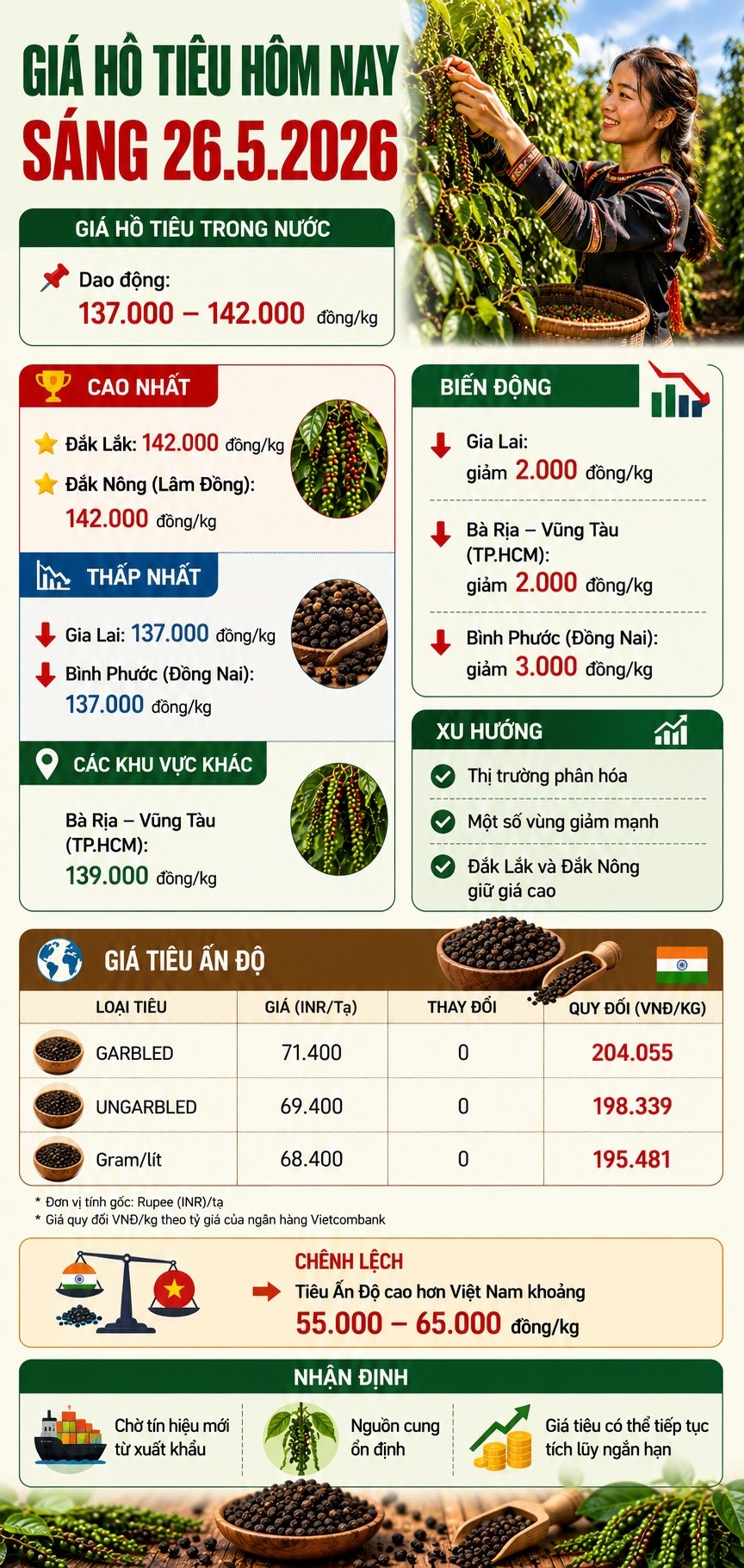 Giá hồ tiêu hôm nay 26.5: Nhiều vùng giảm mạnh - ảnh 3