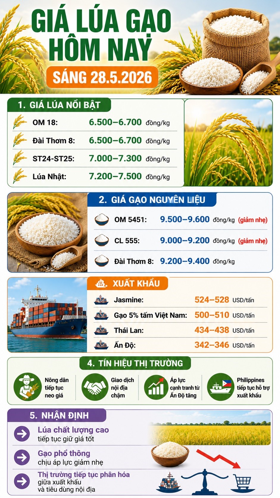 Giá lúa gạo hôm nay 28.5: Lúa thơm giữ giá, gạo phổ thông chịu áp lực giảm - ảnh 3