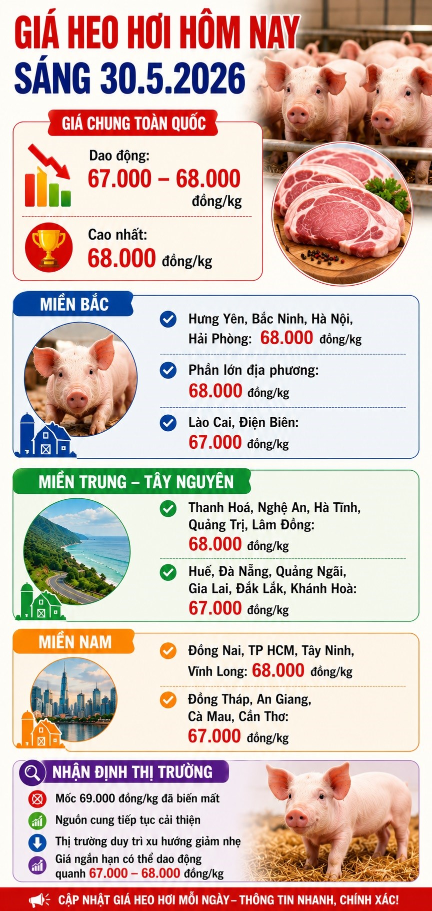 Giá heo hơi hôm nay 30.5 tiếp tục giảm, nhiều nơi về 67.000 đồng/kg - ảnh 3