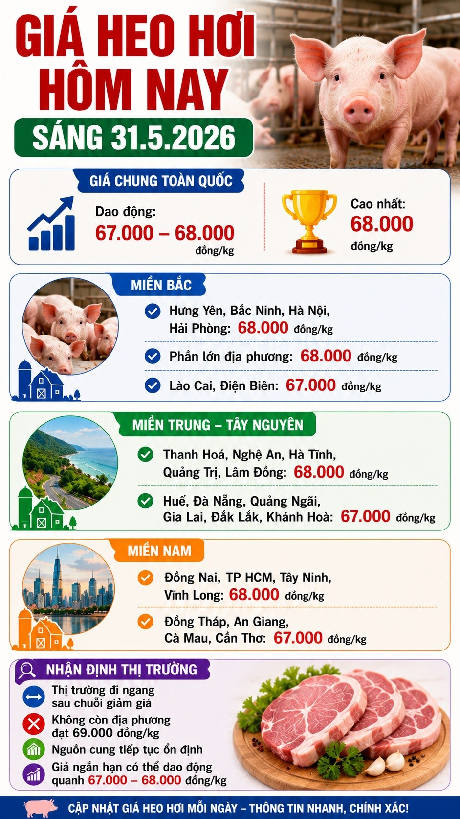 Giá heo hơi hôm nay 31.5: Thị trường đi ngang sau chuỗi ngày giảm - ảnh 3