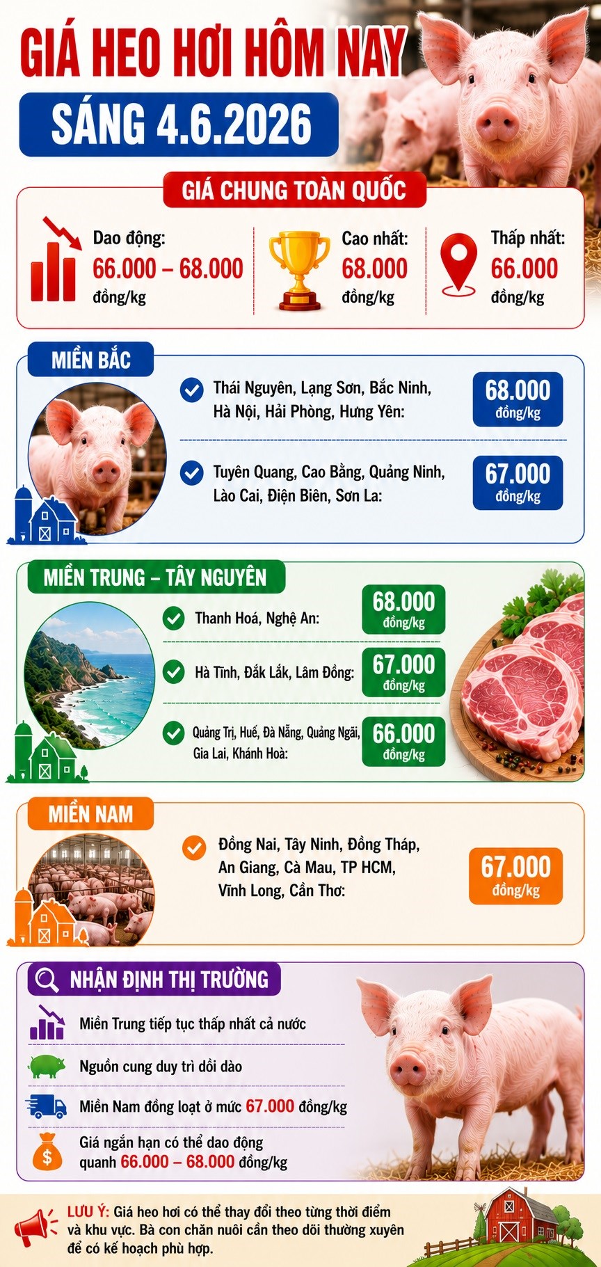 Giá heo hơi hôm nay 4.6: Nguồn cung dồi dào, giá tiếp tục chững lại - ảnh 3