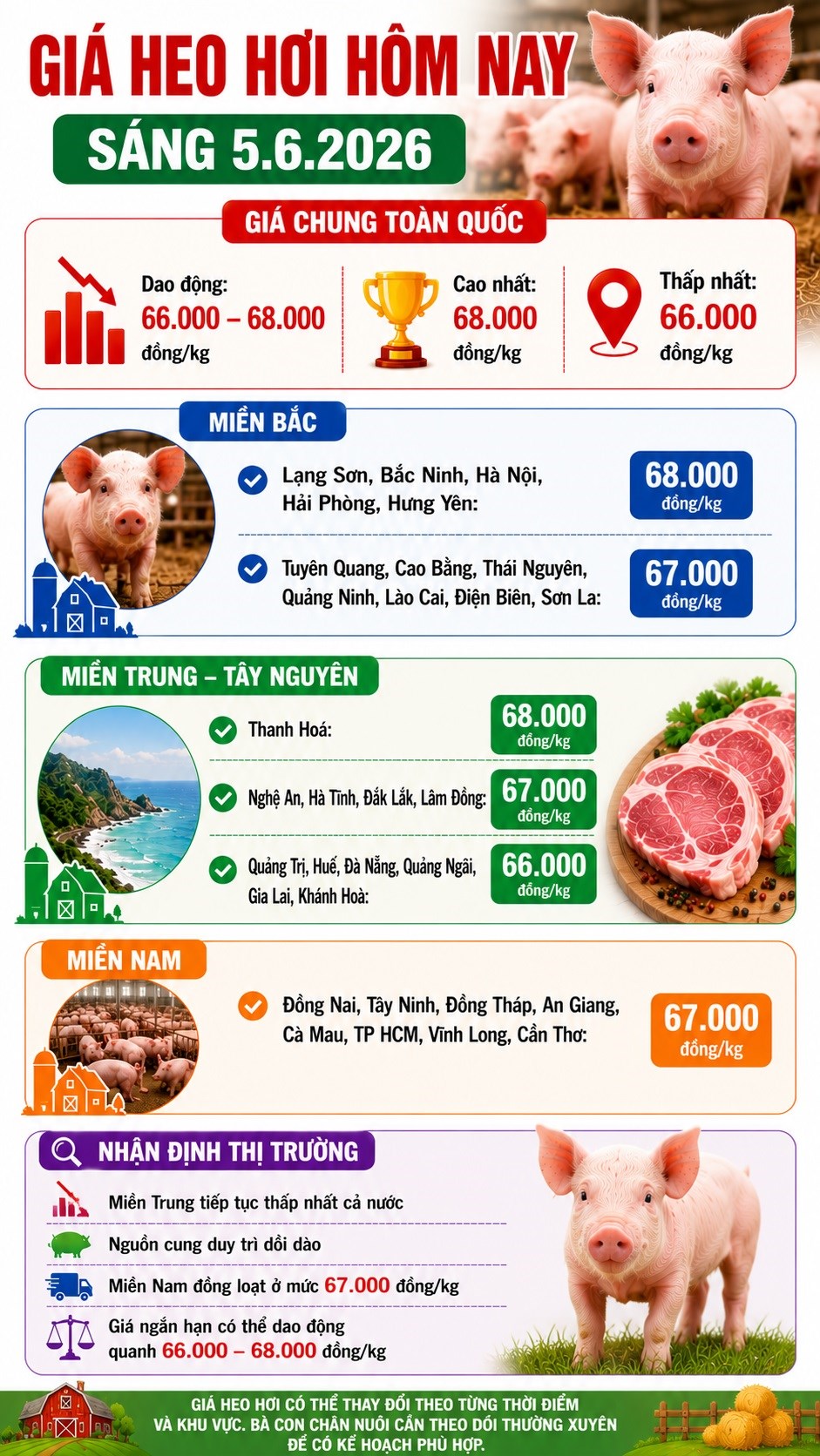 Giá heo hơi ngày 5.6: Nguồn cung dồi dào khiến giá khó phục hồi - ảnh 3