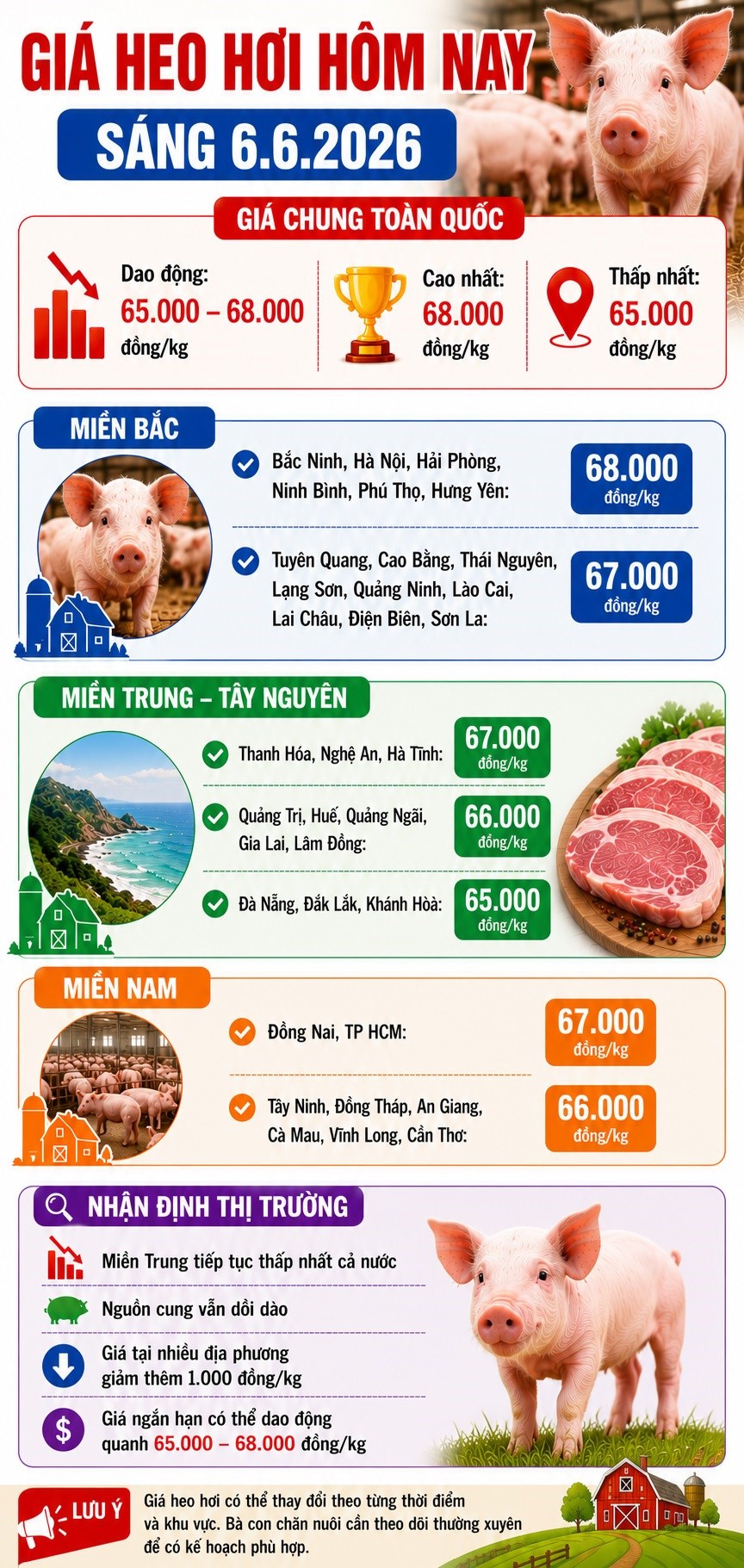 Giá heo hơi hôm nay 6.6: Xuất hiện mức thấp nhất 65.000 đồng/kg - ảnh 3