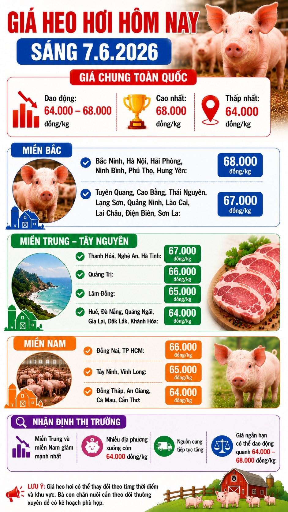 Giá heo hơi hôm nay 7.6: Nhiều địa phương xuống còn 64.000 đồng/kg - ảnh 3