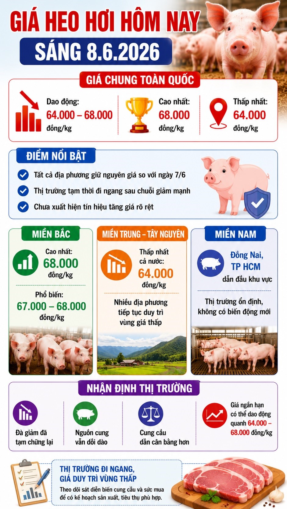 Giá heo hơi hôm nay 8.6: Thị trường đi ngang trên cả nước - ảnh 3