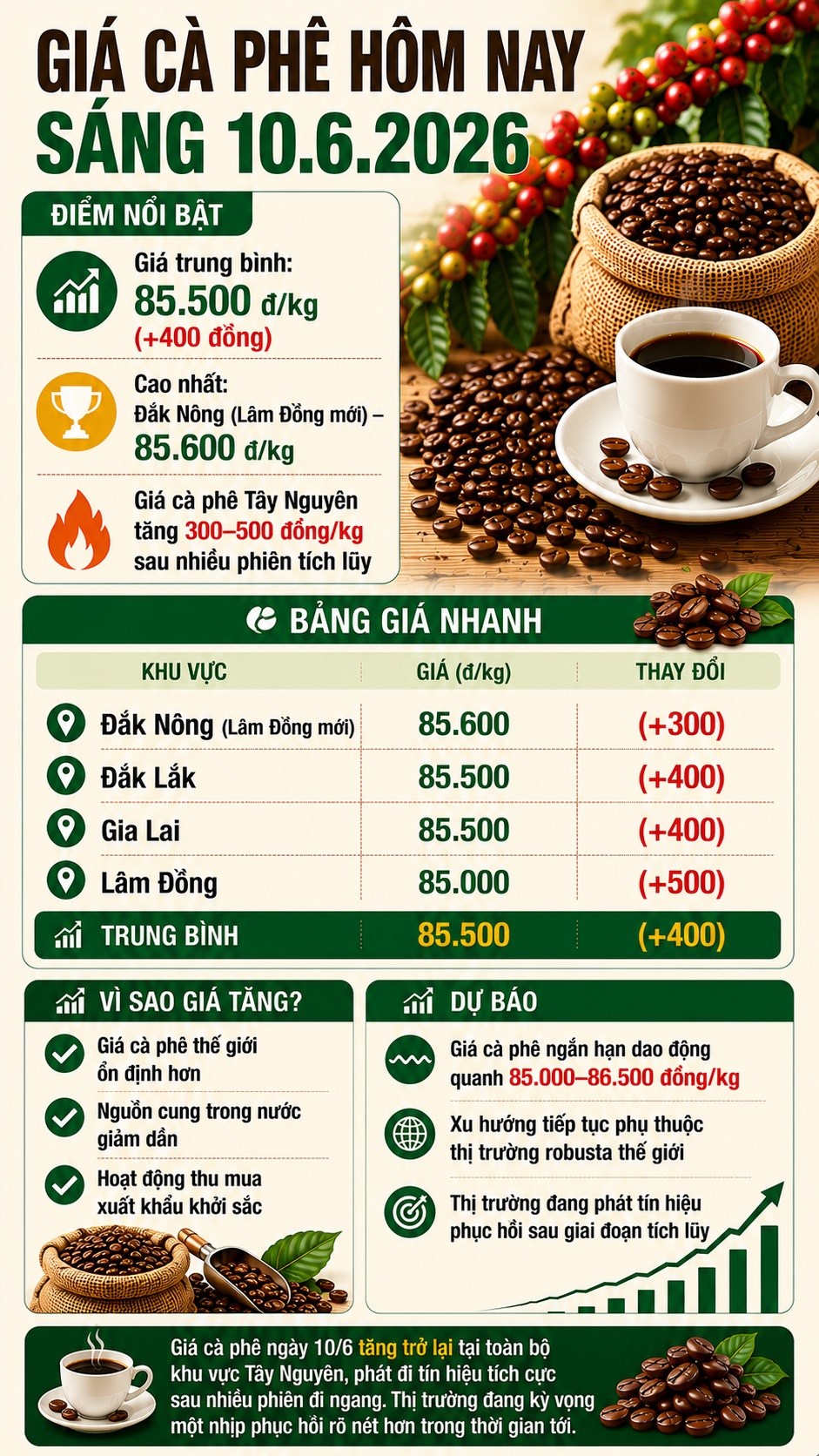 Giá cà phê hôm nay 10.6 tăng trở lại, Tây Nguyên nhích thêm 300-500 đồng/kg - ảnh 3