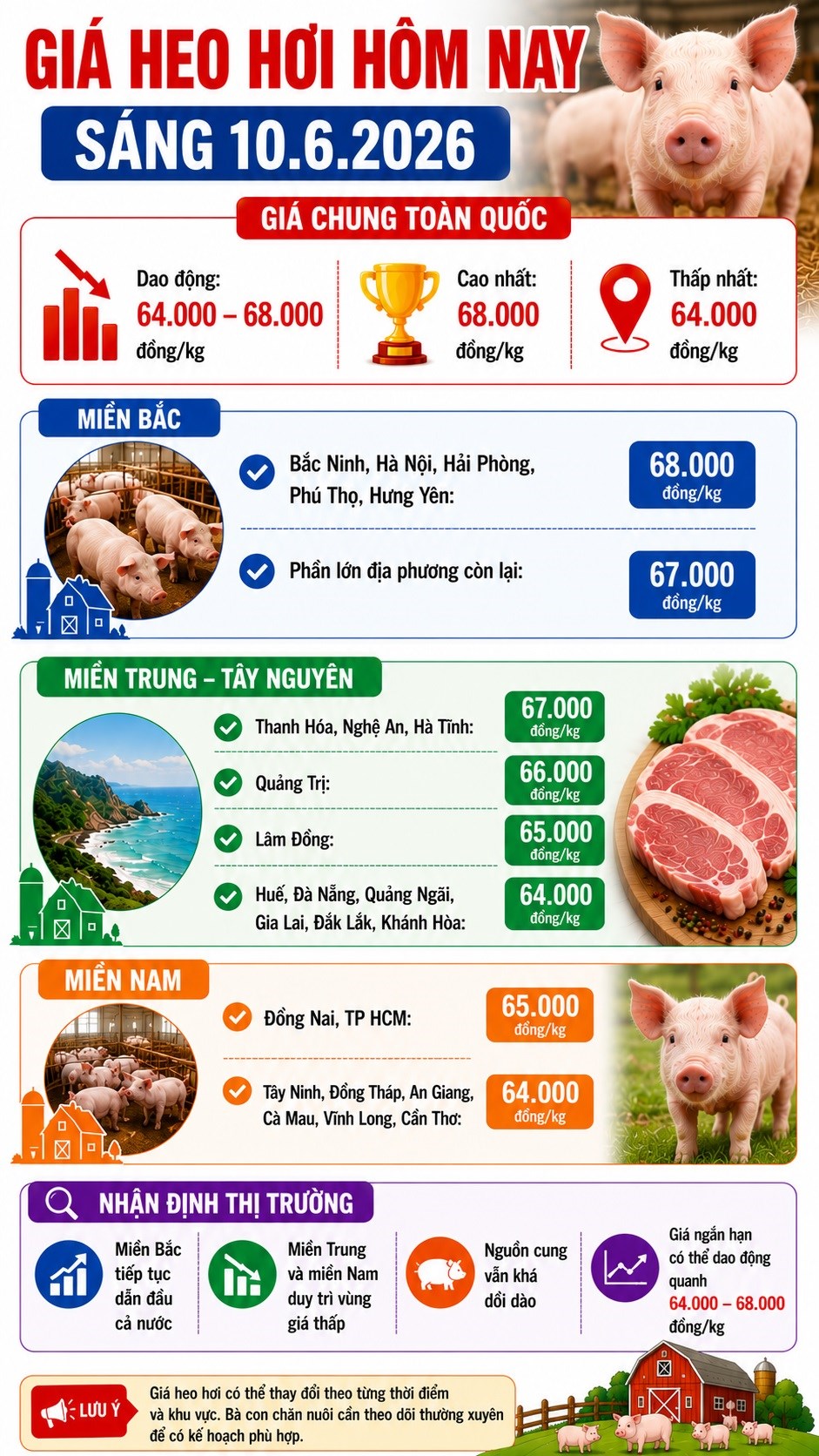 Giá heo hơi hôm nay 10.6 tiếp tục giảm, nhiều nơi chạm đáy mới - ảnh 3