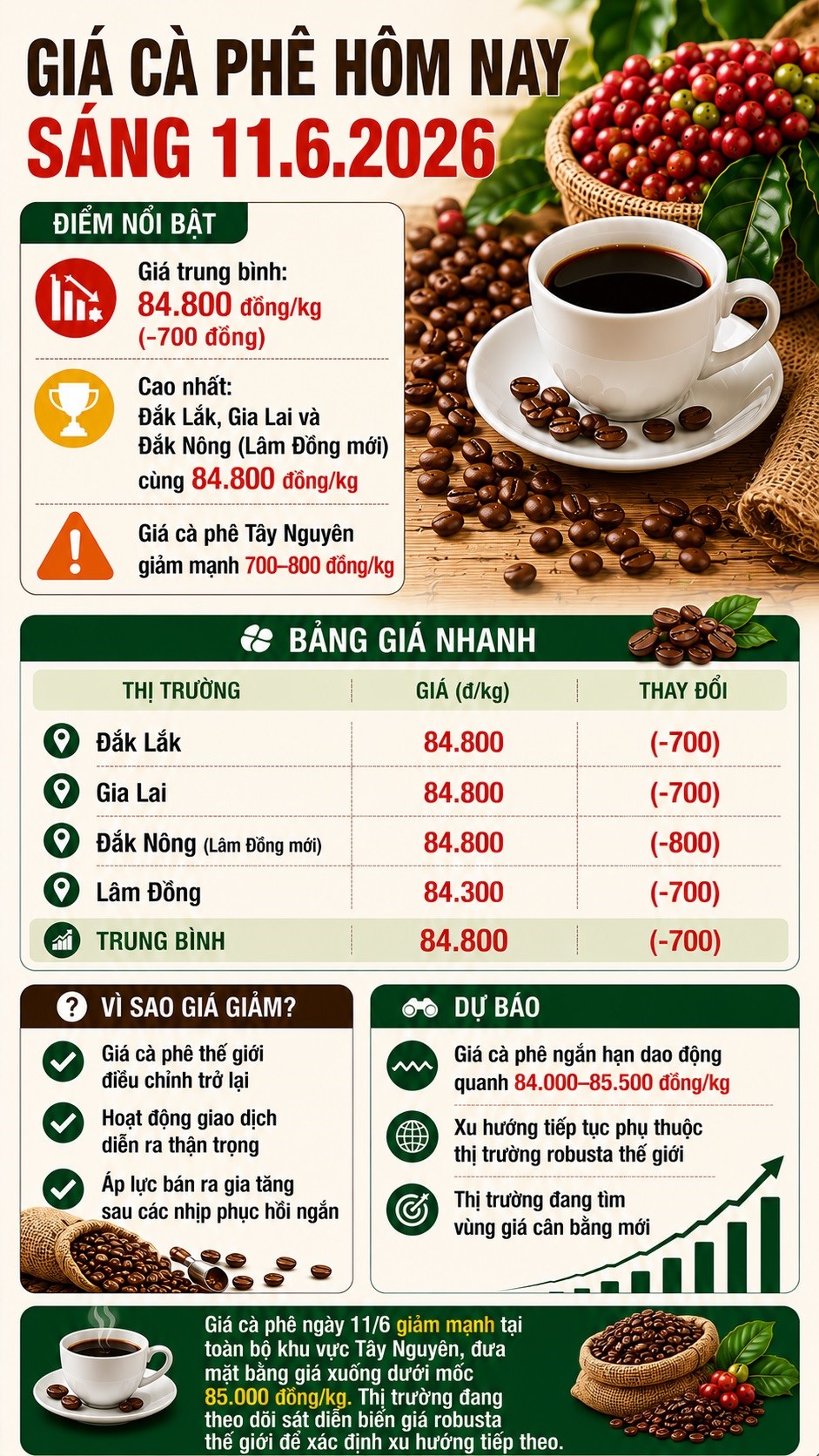 Giá cà phê hôm nay 11.6: giảm mạnh, Tây Nguyên mất thêm 700-800 đồng/kg - ảnh 3