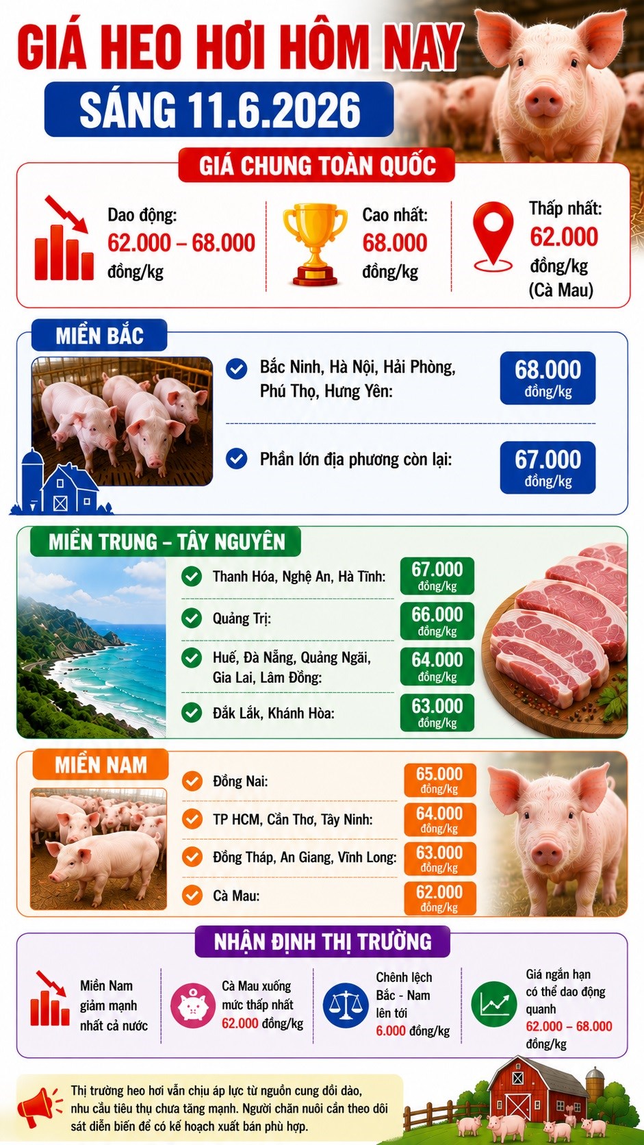 Giá heo hơi hôm nay 11.6: Nguồn cung tăng mạnh, giá giảm sâu tại nhiều nơi - ảnh 3