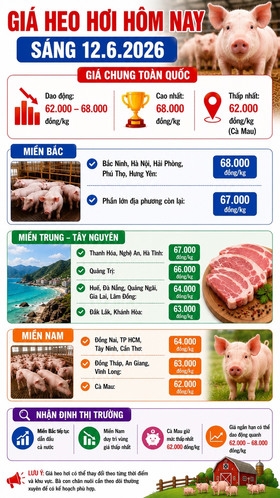 Giá heo hơi hôm nay 12.6: Cà Mau thấp nhất cả nước, chỉ còn 62.000 đồng/kg - ảnh 3
