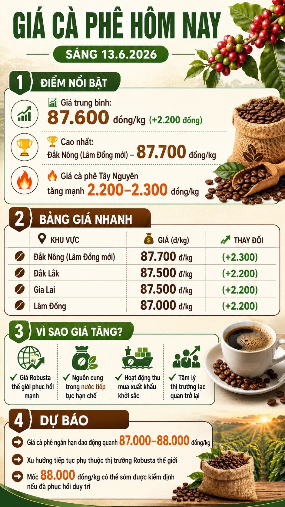 Giá cà phê hôm nay 13.6: Tây Nguyên bật thêm hơn 2.000 đồng/kg - ảnh 3