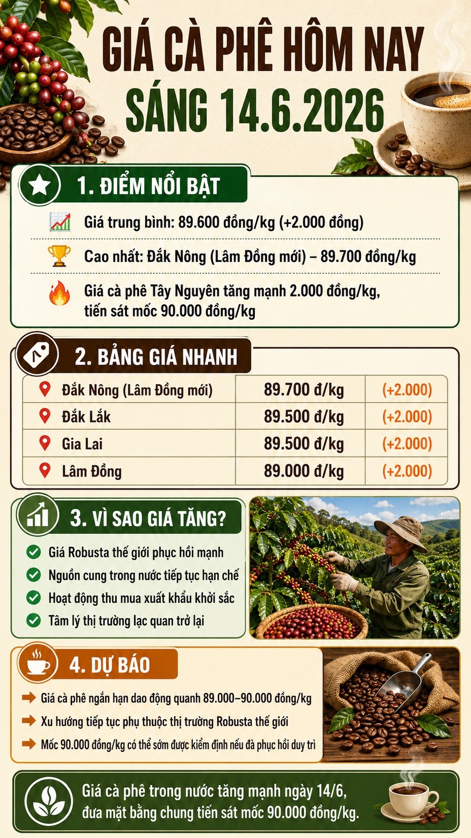 Giá cà phê hôm nay 14.6: Tăng nóng, Tây Nguyên lấy lại vùng giá cao - ảnh 3