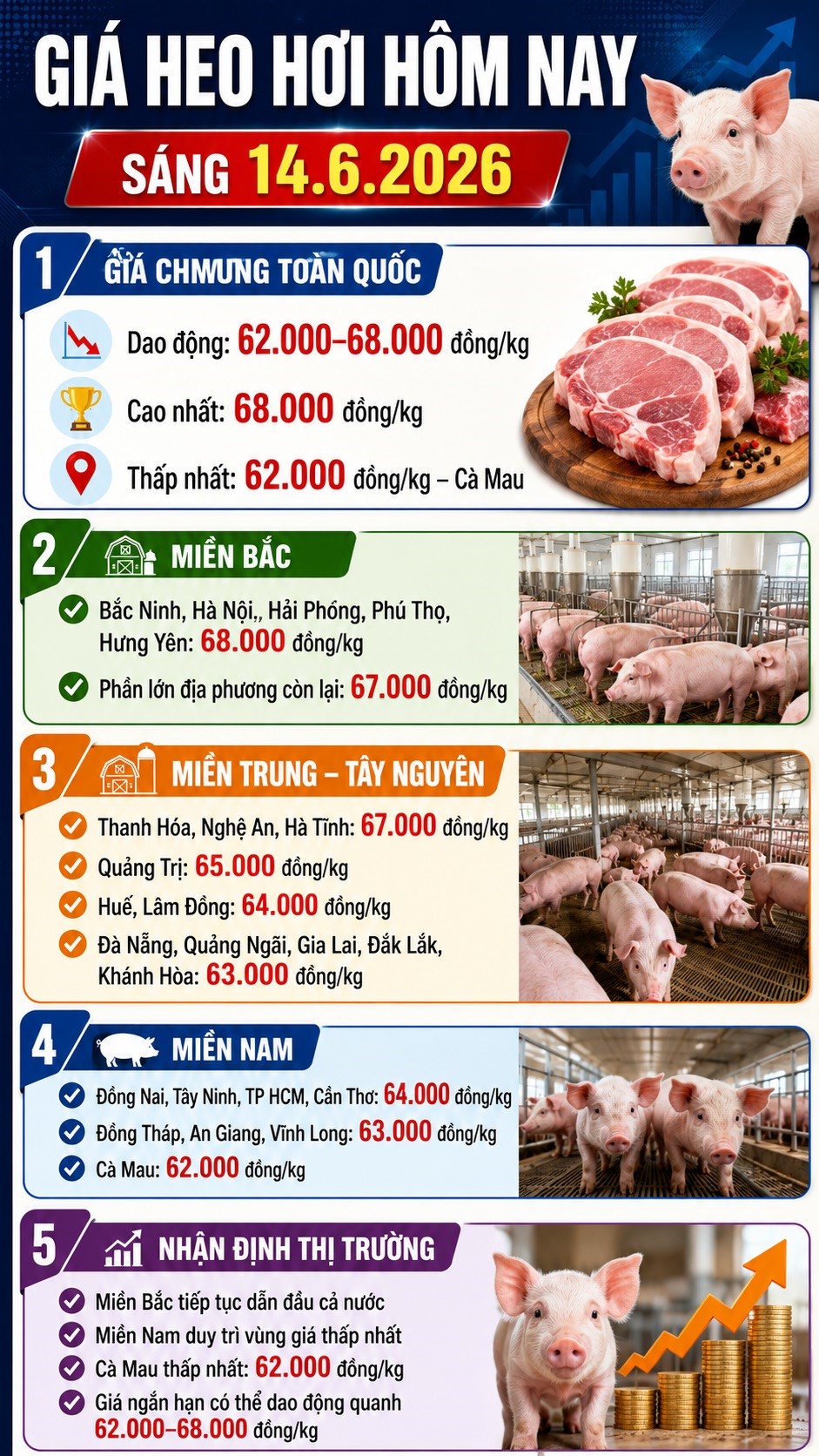 Giá heo hơi hôm nay 14.6: Thị trường phân hóa mạnh giữa ba miền - ảnh 3