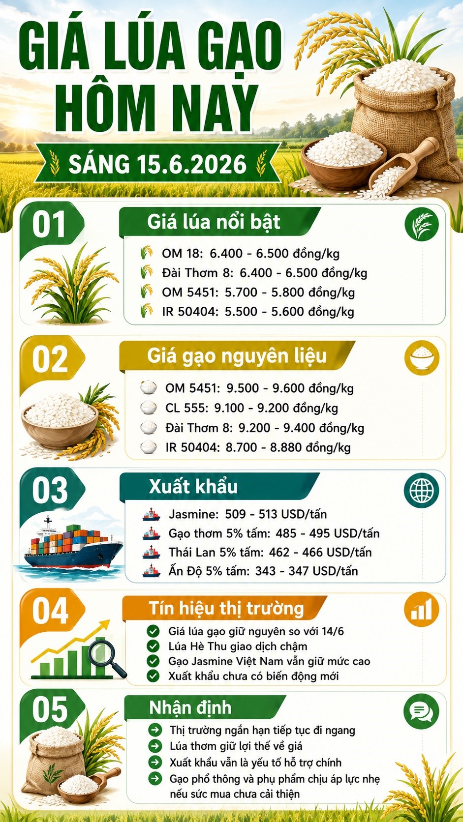 Giá lúa gạo hôm nay 15.6: Đi ngang, lúa thơm tiếp tục giữ giá tốt - ảnh 3