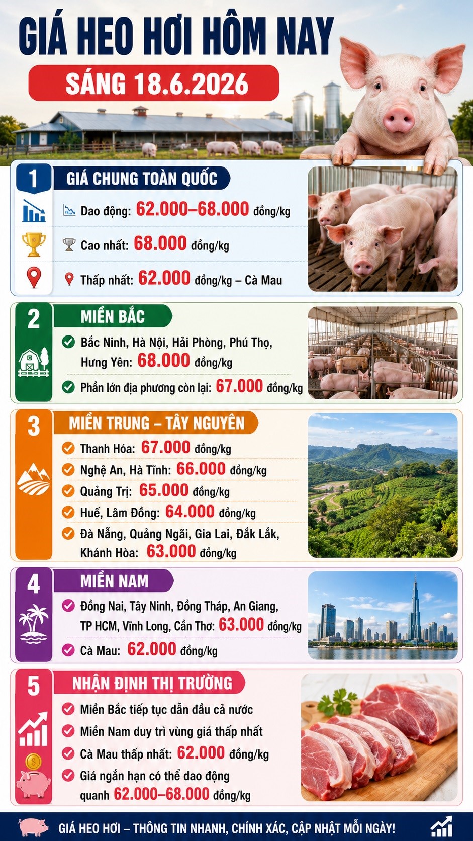 Giá heo hơi hôm nay 18.6: Thị trường phân hóa mạnh giữa ba miền - ảnh 3