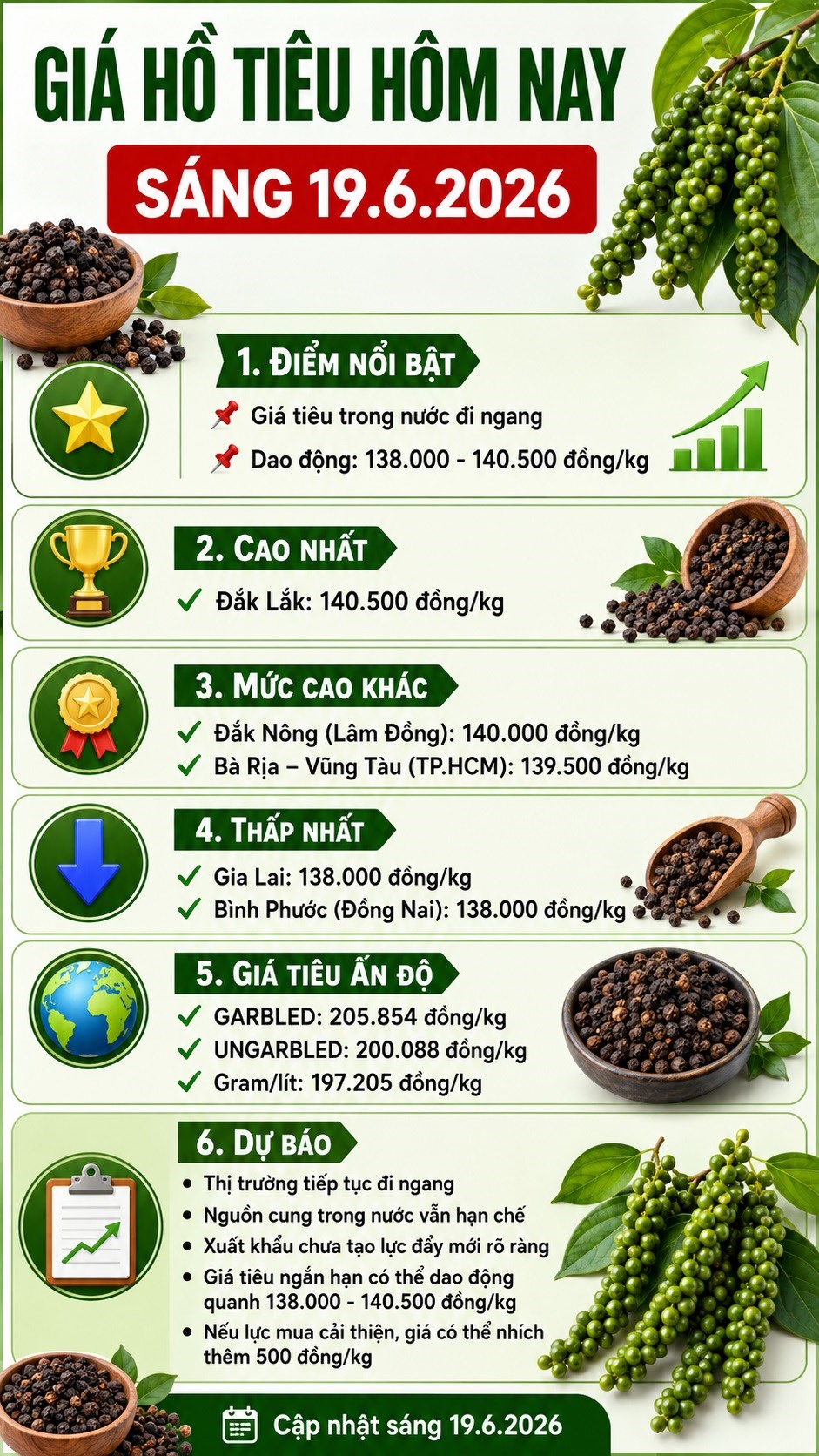 Giá hồ tiêu hôm nay 19.6: Đi ngang, Đắk Lắk giữ đỉnh 140.500 đồng/kg - ảnh 3